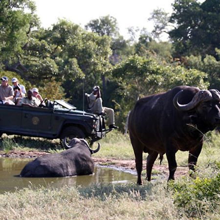 Umlani Bushcamp Vila Game ReserveTimbavati Exterior foto