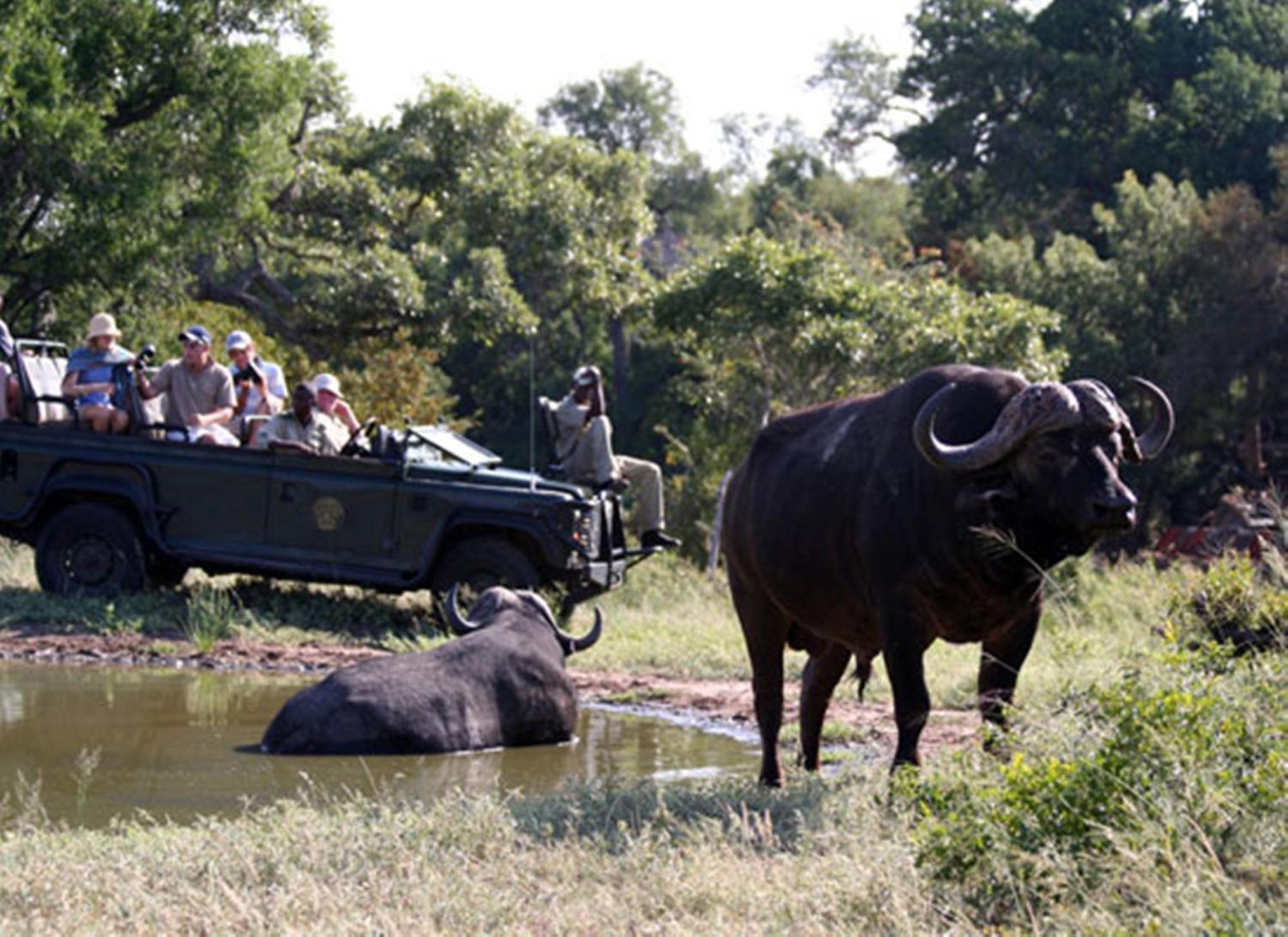 Umlani Bushcamp Vila Game ReserveTimbavati Exterior foto