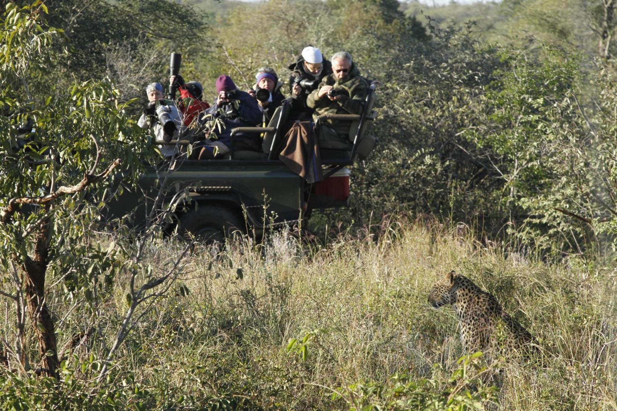 Umlani Bushcamp Vila Game ReserveTimbavati Exterior foto